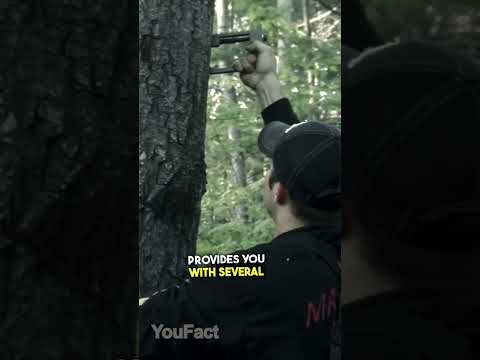 Gadgets for hiking, hunting and fishing