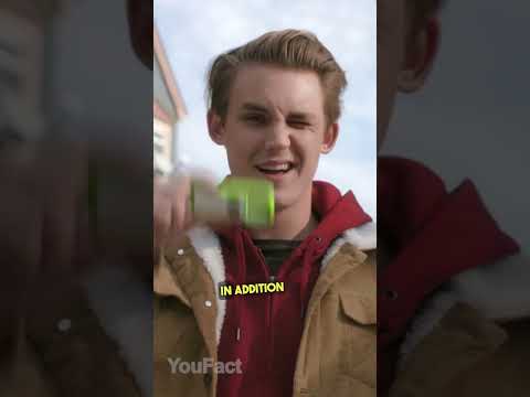 Listen, shoot, play and sing!