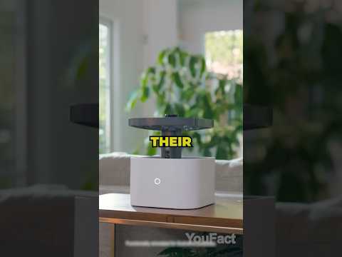 Amazon Banned Home Drone 🛑 #amazondrone #ringalwayshomecam